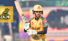 Mohammad haris Professional career