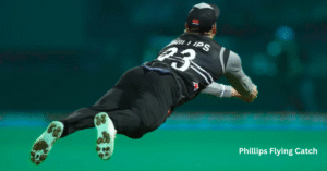 Glenn Phillips' Professional Career 