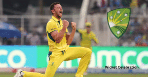 Josh Hazlewood Professional Career 